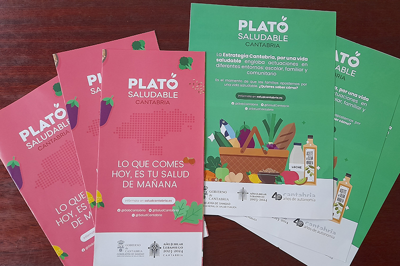 Ejemplares de la cartelería editada por la campaña (Foto: Oficina de Comunicación)